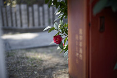 _7R32197_DxO