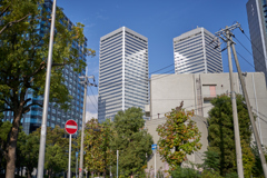DSC04015