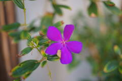 DSC00087