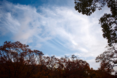 DSC04370a