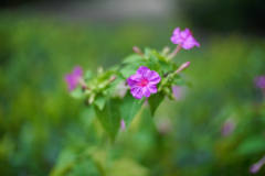 DSC02420