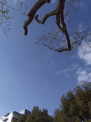 _1080884_DxO