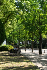 DSC00888