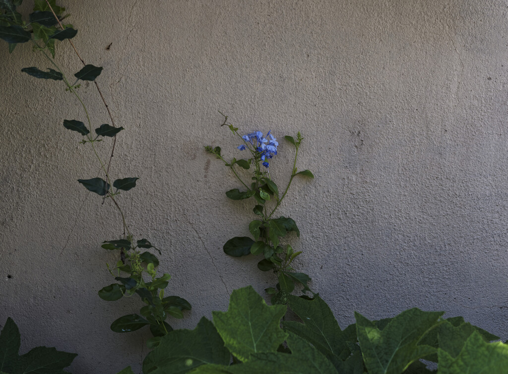 _G9P9221_DxO