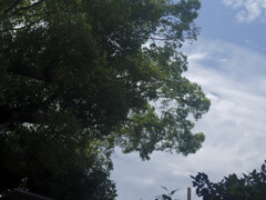 _1100034_DxO
