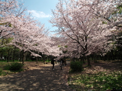 P1052717