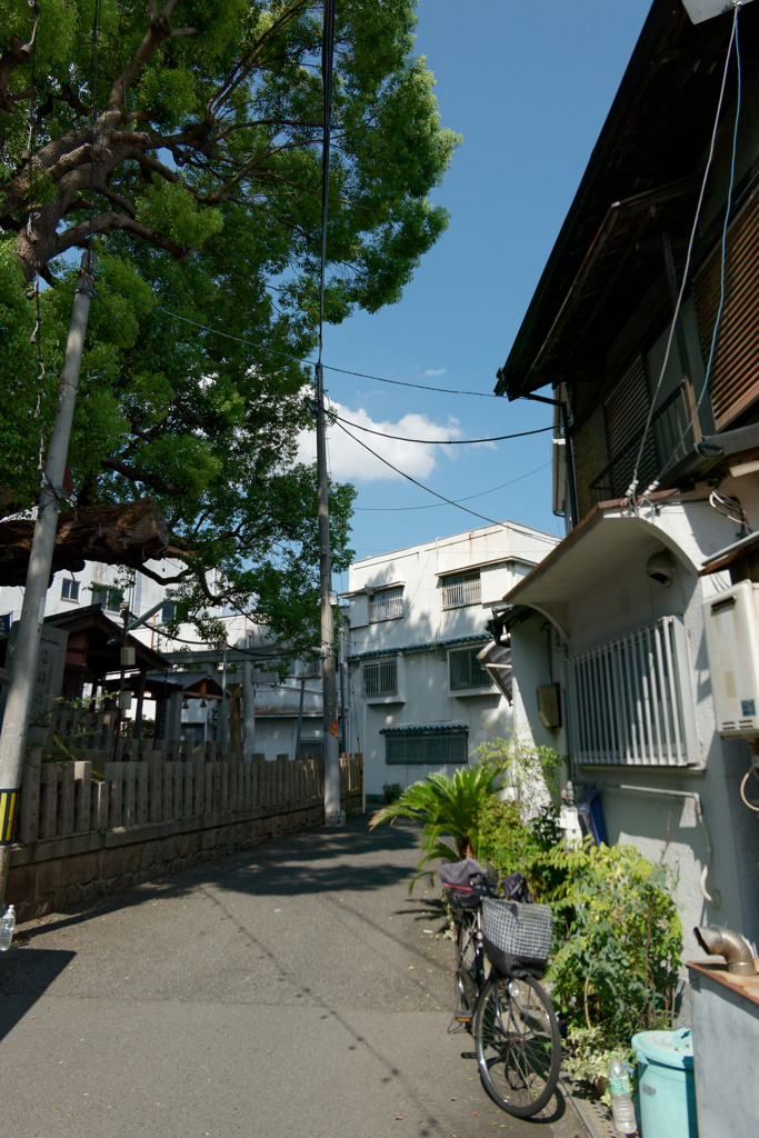 P1000678_DxO