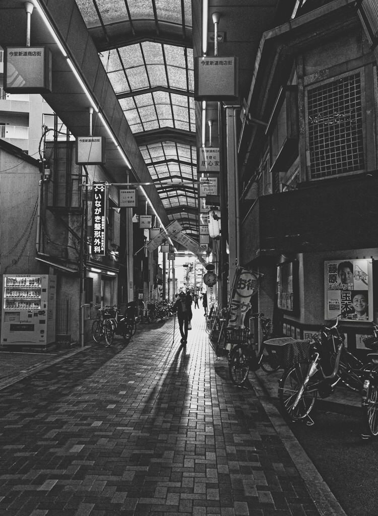 _1040494_DxO