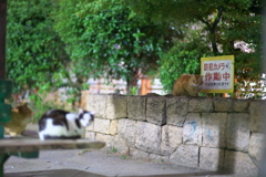 DSC01104