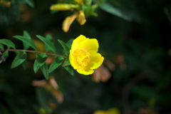 DSC01192