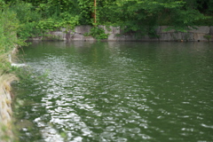 DSC01247