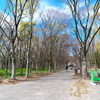 P1078236