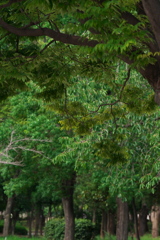 DSC01595