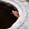 P1078117
