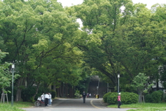 A7C07650