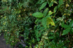 DSC01912
