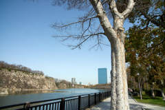 DSC00400_2