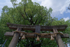 A7C09967_DxO