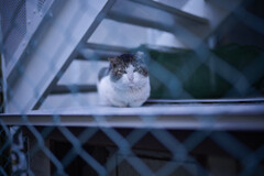 _7R32459_DxO