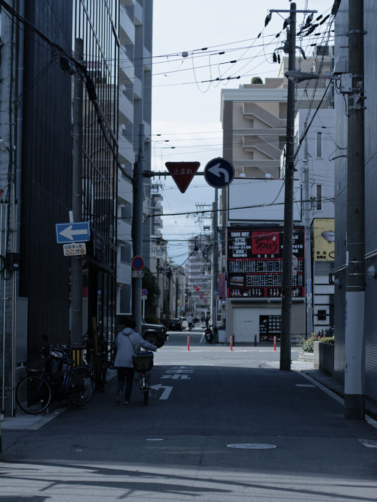 _1040246_DxO