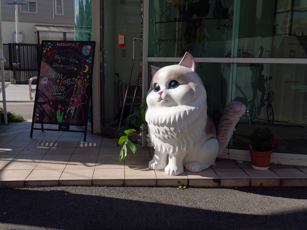 P1070178_DxO