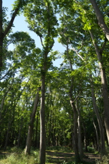 DSC01005