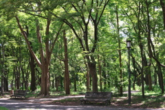 DSC02134_1