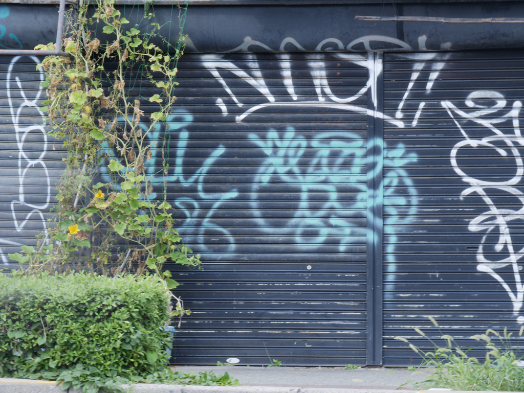 _1010798_DxO