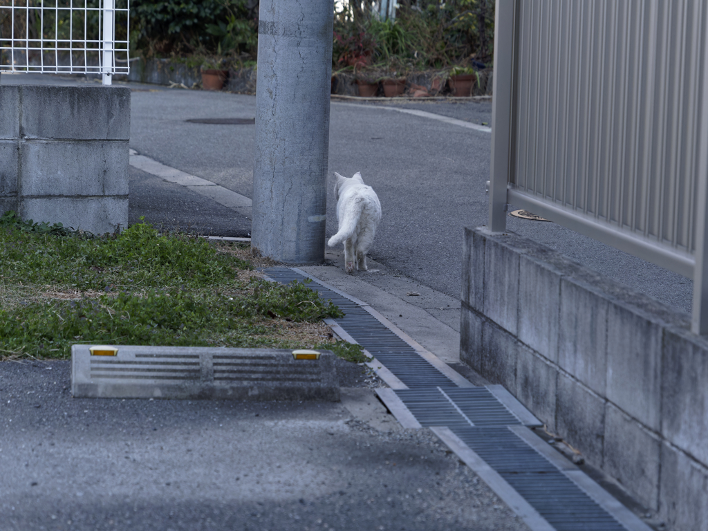 _1080894_DxO