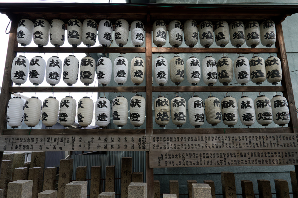 DSC01028_DxO
