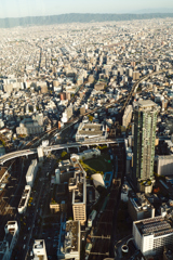 DSC04169