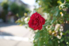 DSC00091