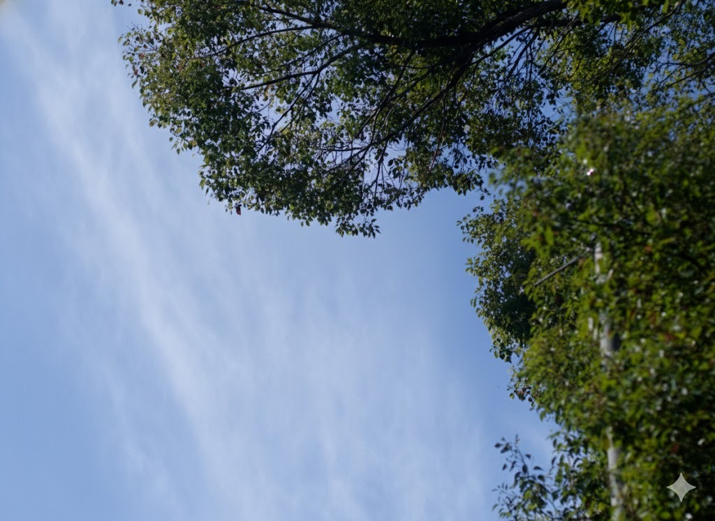 AIで電線消した(=ﾟωﾟ)ﾉ