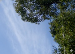 AIで電線消した(=゚ω゚)ノ