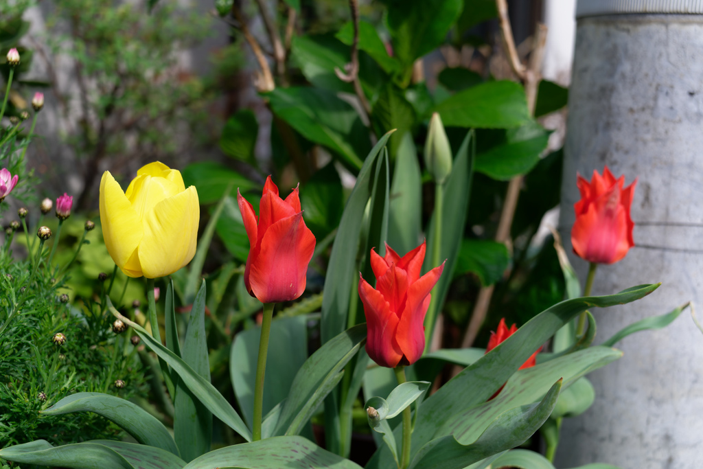 A7C01769_DxO