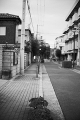 DSC02392