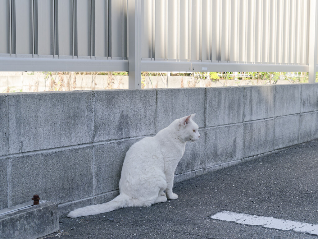 _1050531_DxO
