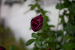A7C00157