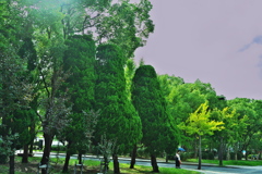 DSC01790