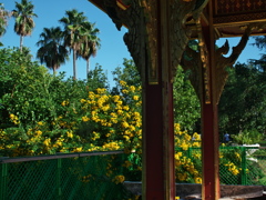 P1094290