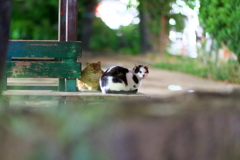 DSC01097