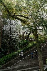 7R308954_DxO