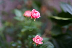 A7C00279