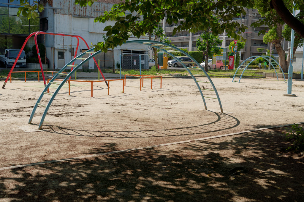 雀発見！　雨上がりの公園