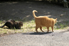 DSC00845