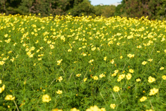 DSC03311b