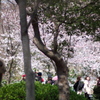 P1077931