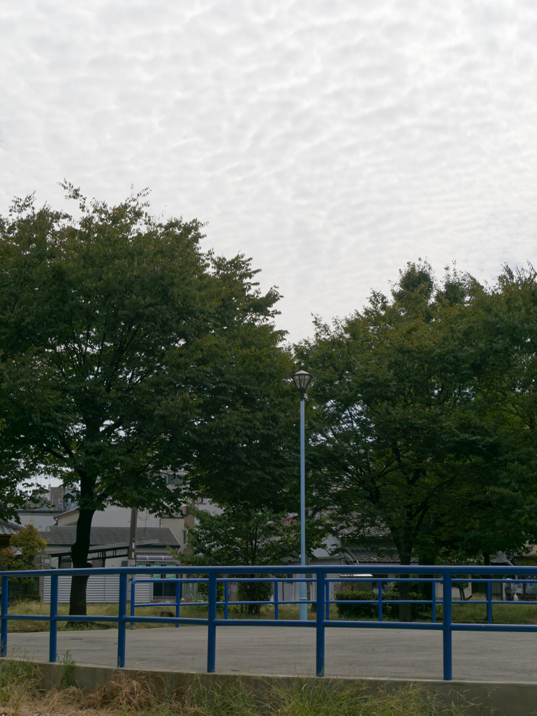 _1010657_DxO