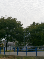 _1010657_DxO