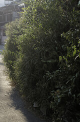 _DSC3299_DxO-1
